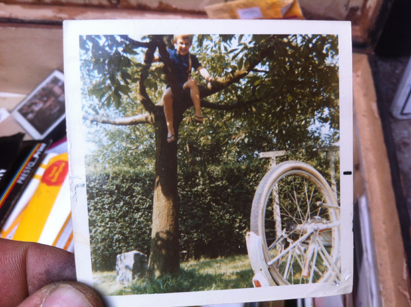 kleine-paul-in-de-boom kleine-paul-in-de-boom